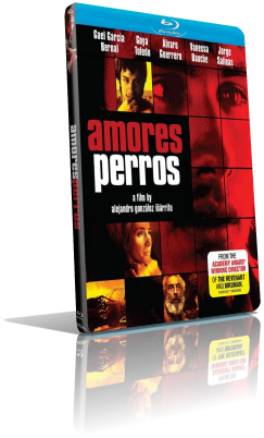 Amores perros (2000) BDRip 480p ITA/AC3 5.1 (Audio Da DVD) SPA/AC3 5.1 Subs MKV