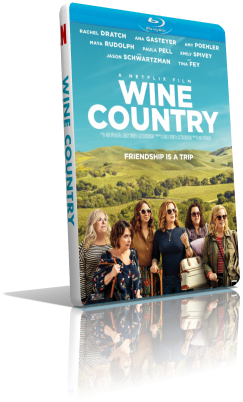 Wine Country (2019) WEBDL 720p ITA/EAC3 5.1 (Audio Da WEBDL) ENG/EAC3 5.1 Subs MKV