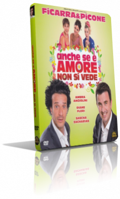 Anche se è Amore non si vede (2011) DVD5 Compresso – ITA