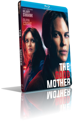 The Good Mother (2023) BDRip 480p ITA/EAC3 5.1 (Audio Da WEBDL) ENG/AC3 5.1 Subs MKV