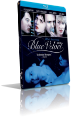 Velluto blu (1986) FullHD 1080p ITA/ENG AC3+DTS 5.1 Subs MKV