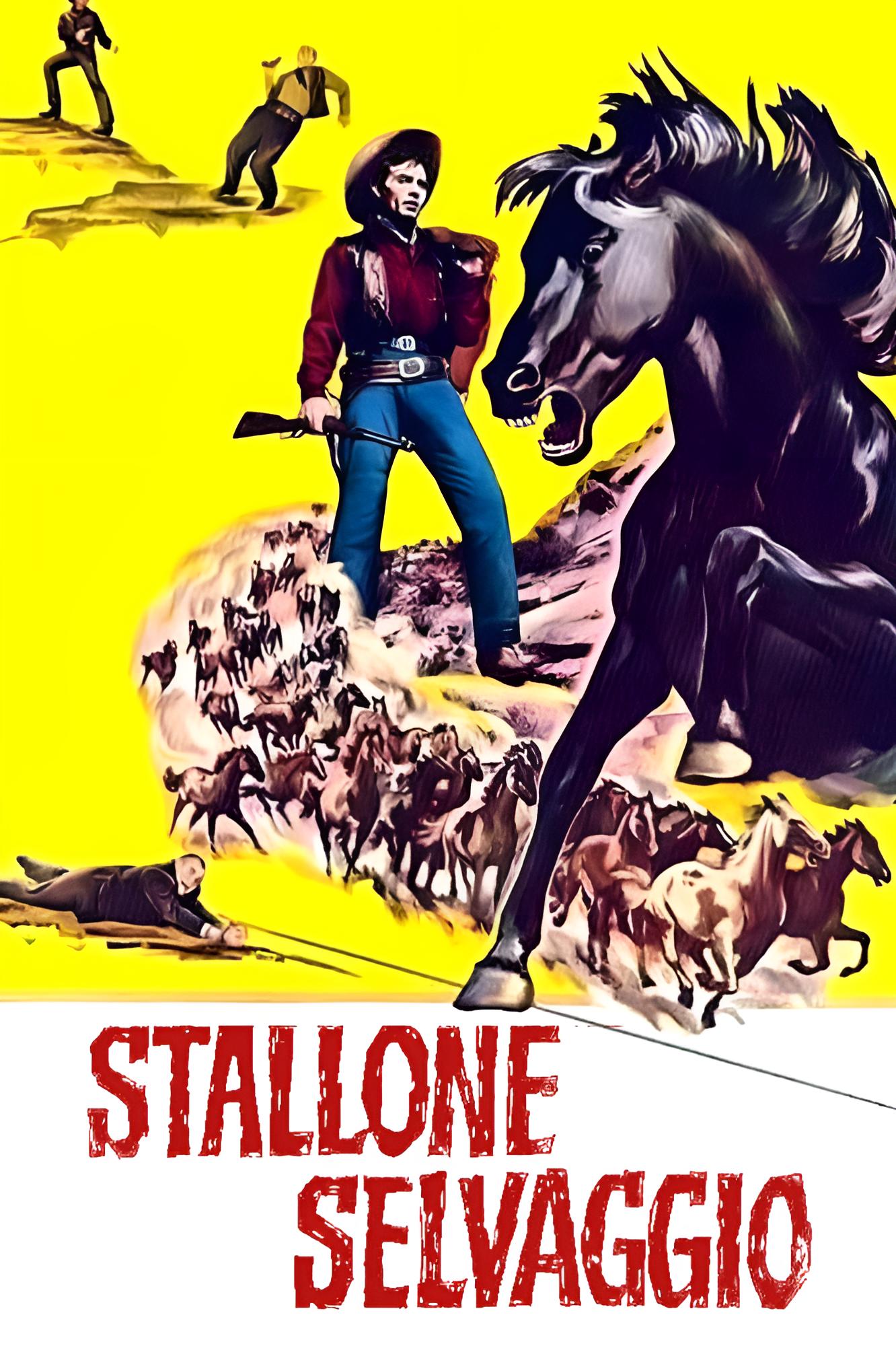 Stallone selvaggio (1959)